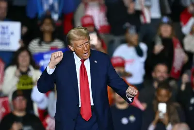 Is Donald Trump's movement really a "cult"? Well, I ought to know