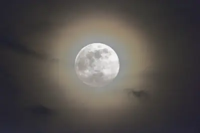 How to view the full flower moon in the DC area