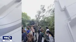 Falling tree injures 12 at college graduation ceremony in California