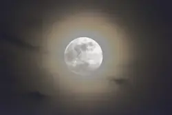 How to view the full flower moon in the DC area